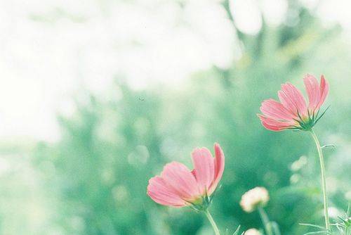 我们可以转身,但是不必回头