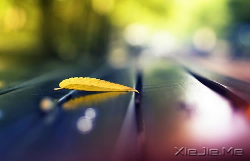 不要停止追赶某些东西,比如梦想 (5)