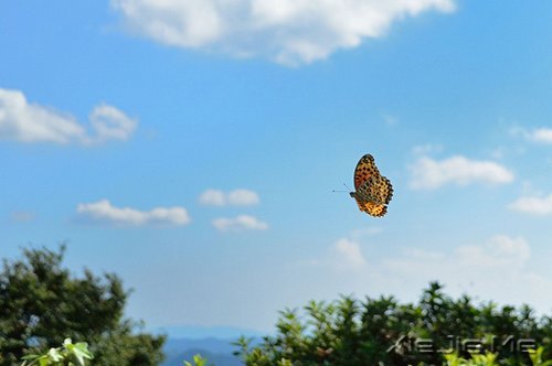 好好生活,做一个接近幸福的人 (6)
