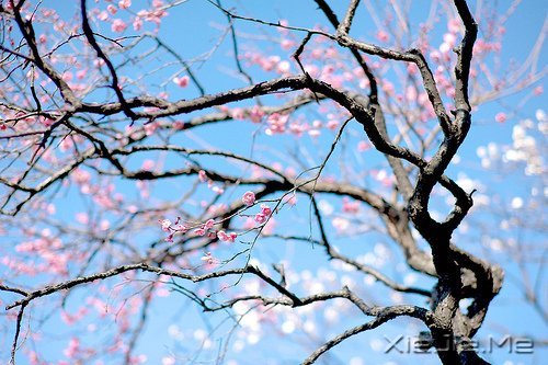 无论发生什么,先善待自己 (8)