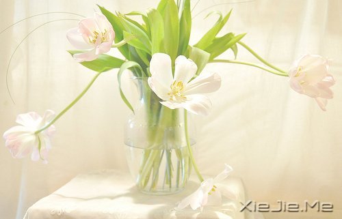 只要你在走,总会看到进步 (3)