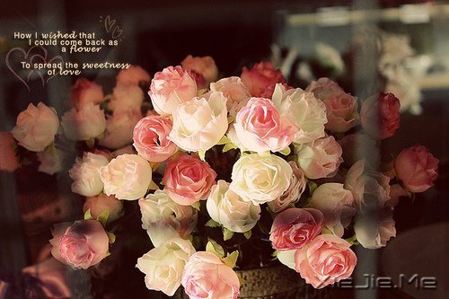 不论这个世界多么糟糕,你自己的世界一定要精彩 (4)