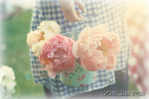 生一分钟气,就失去了60秒的快乐 (5)