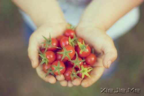 越努力,越幸运 (2)