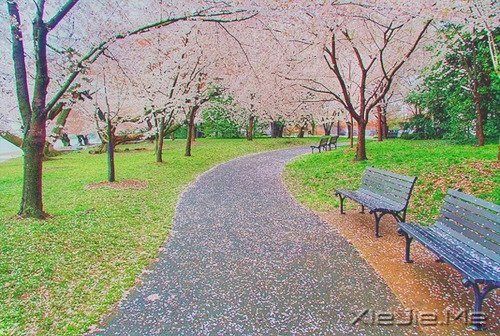 生活中没有理所当然,只有心甘情愿 (9)