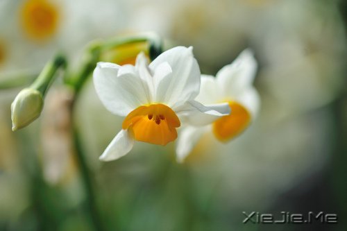 生活中没有理所当然,只有心甘情愿 (2)