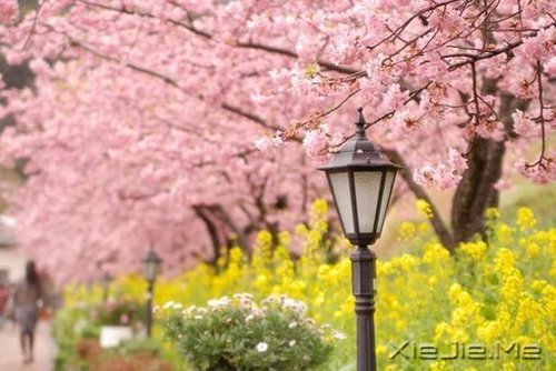 生命如途,走过才知深浅 (8)