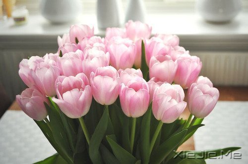 很多道理我们都是心知道,却做不到 (9)