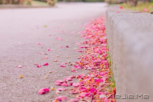 早安心语:浅浅遇,淡淡忘 (9)