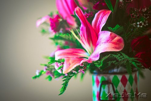 默然相爱,寂静喜欢 (2)