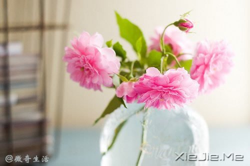 风雨的前方,那是彩虹的方向 (6)