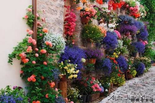 人,总是要醒来的,在某个时刻 (2)