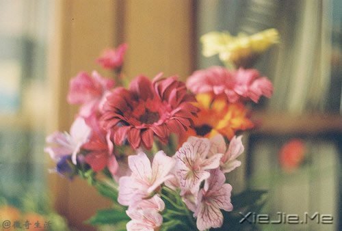 人,总是要醒来的,在某个时刻 (4)