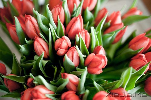 人生,一半是现实,一半是梦想 (5)