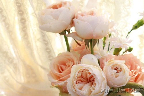 请你善良,无论这世界多冷漠 (8)