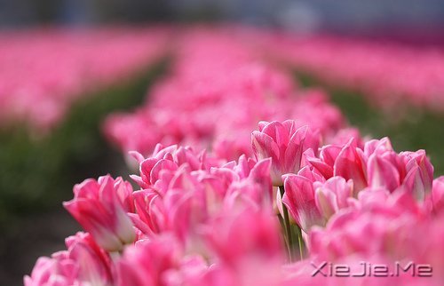 幸福应该是来得巧,而不是来得多 (4)