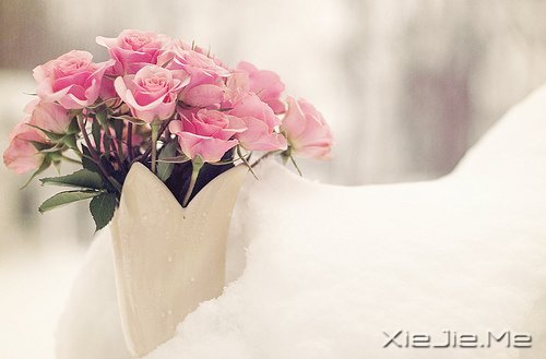 一个人怕孤独,两个人怕辜负 (7)