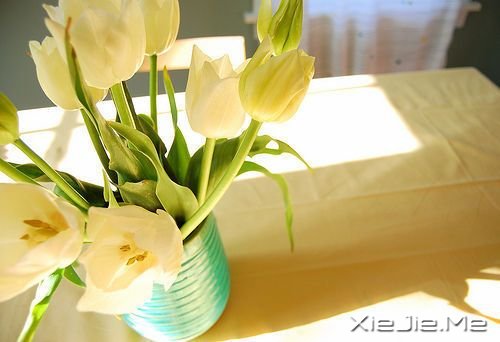 千万不要因为走的太久,而忘记了我们为什么出发 (5)