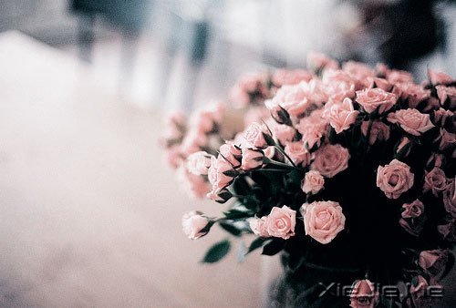 晚安心语:在途中,认清自己 (8)