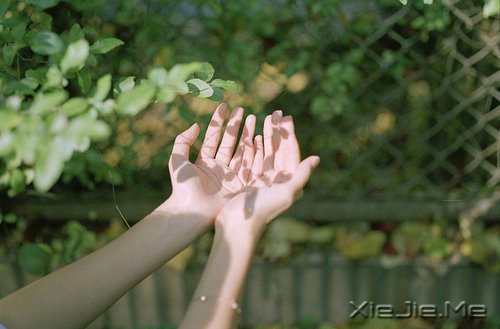 �簲������Լ���·������õ��Լ� (2)