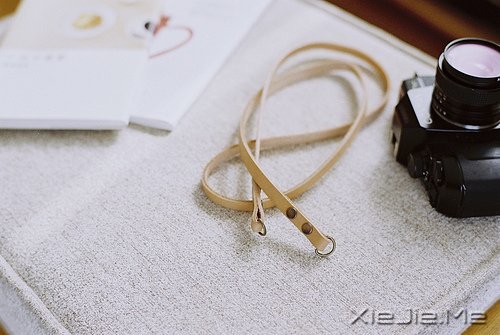 �������������ν�ĸ�������������һ·���� (5)