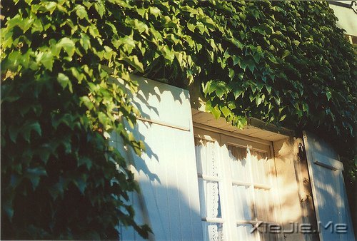 晚安心语:给时光以生命,而不是给生命以时光 (2)