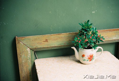 晚安心语:给时光以生命,而不是给生命以时光 (9)