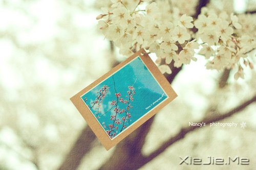 晚安心语:远处的是风景,近处的才是人生 (7)