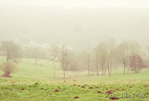 过自己喜欢的生活,喜欢自己过的生活 (2)
