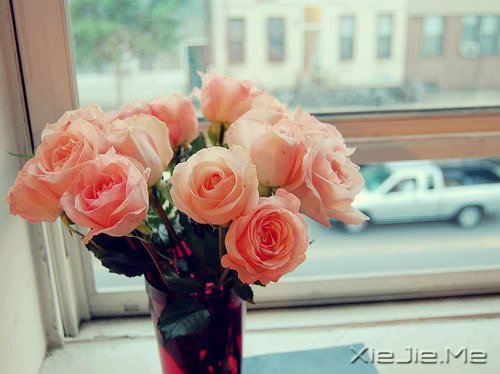 晚安心语:美不过回忆,伤不过别离 (3)