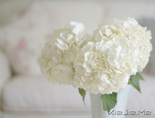 晚安心语:美不过回忆,伤不过别离 (5)