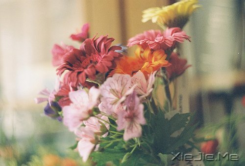 走得最急的都是最美的时光 (5)