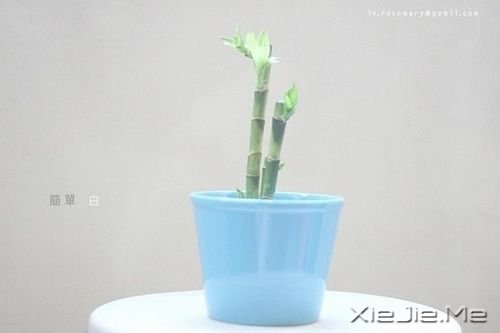 晚安心语:趁年轻,能走多远走多远 (9)