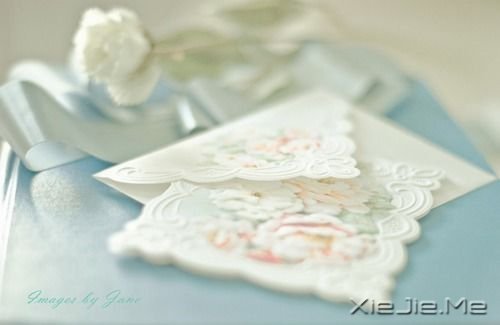 早安心语:千万个美丽的未来,抵不上一个温暖的现在 (5)