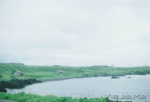 早安心语:照顾每个人的感受,注定自己不会好受 (10)