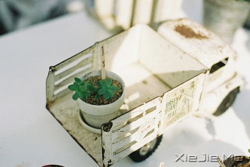 晚安心语:不为昨天而叹息,只为今天更美好 (3)