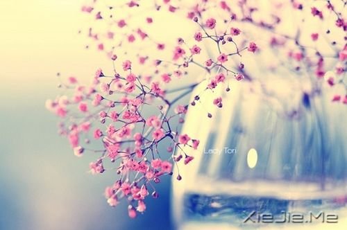 早安心语:只要你在走,总会看到进步 (7)