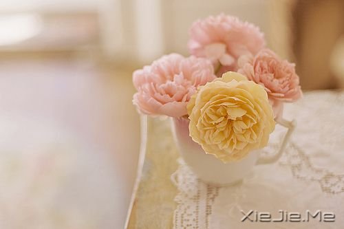 �簲���ѡһ����̬�����Լ�����޿���� (9)