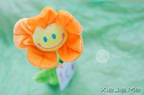 �簲��������Լ���������ֱ�� (8)