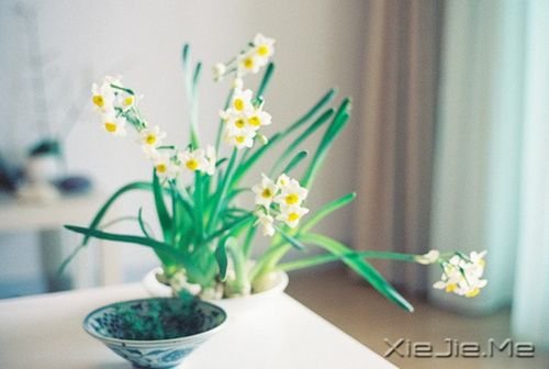 早安心语:像淑女一样处事,像爷们儿一样思考 (3)