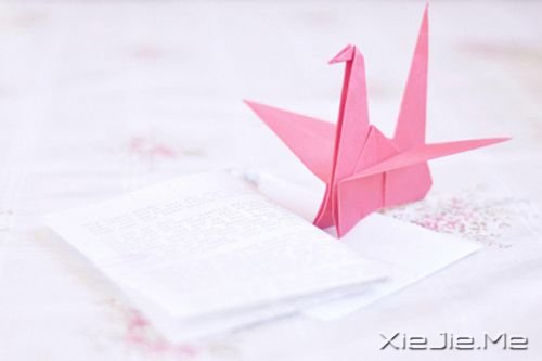 晚安心语:那些单独飞翔的人拥有最强大的翅膀 (1)