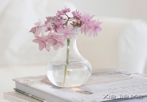 早安心语:活着意义在于让你的生活变得有意义 (9)