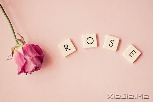 小人物,小欲望,小满足,才是大幸福 (1)