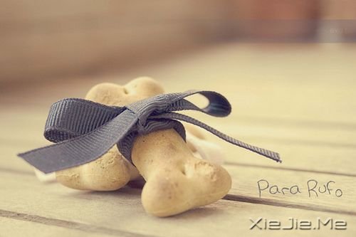 快跟自己说声对不起 (1)