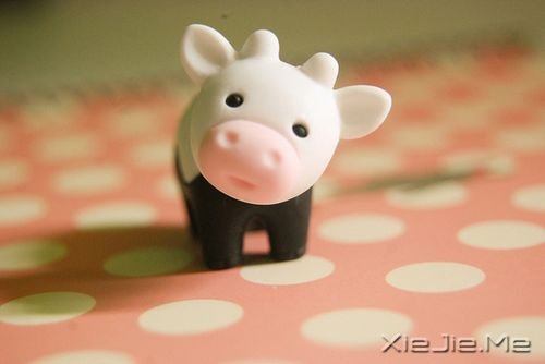 早安心语:永远面向阳光,这样你就看不见阴影了 (1)