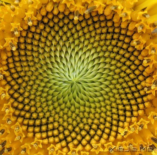 一个人流浪,不必去远方 (2)