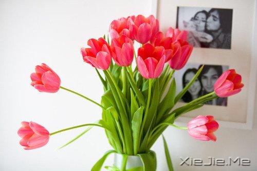 读懂人生,富有哲理的座右铭 (4)