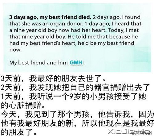 给我希望,15个温暖的小故事 (7)