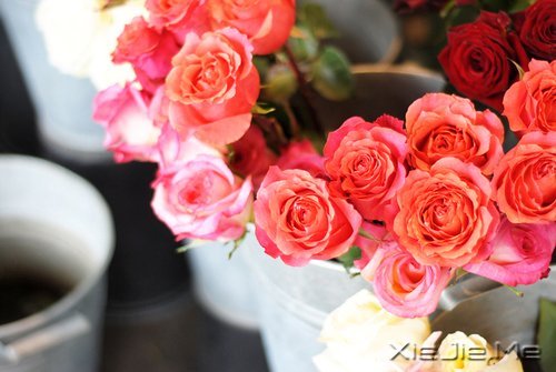 经典语录:只要适合自己,就是幸福 (6)