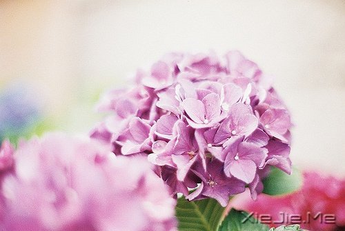 经典语录:输什么也不能输了心情 (8)